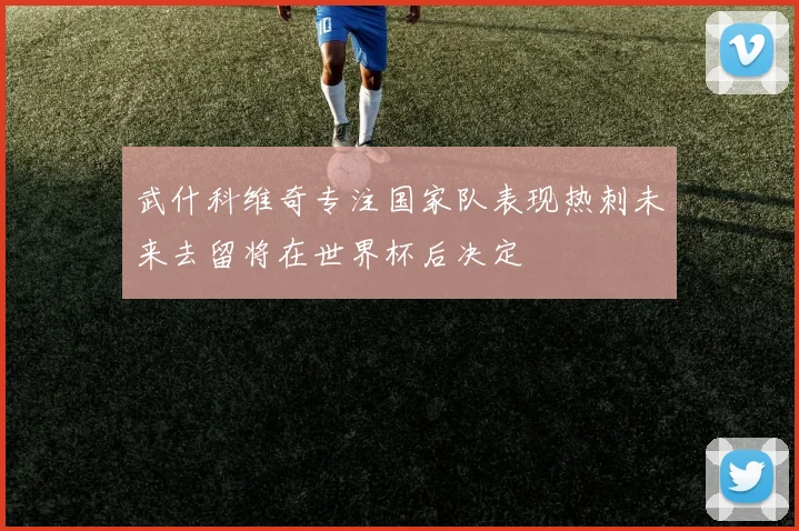 武什科维奇专注国家队表现热刺未来去留将在世界杯后决定
