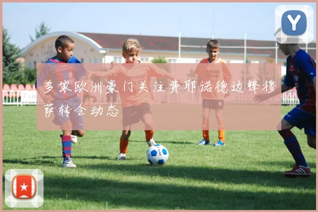 多家欧洲豪门关注费耶诺德边锋穆萨转会动态